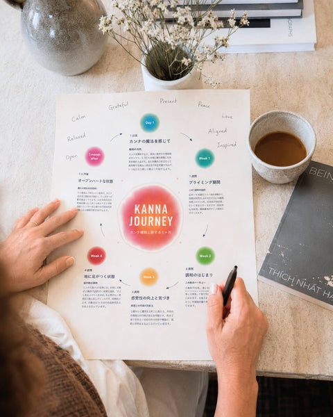MAP YOUR JOURNEY